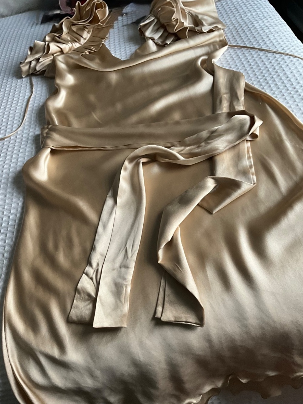 Vintage Romantic Dress - Picture 4 of 7